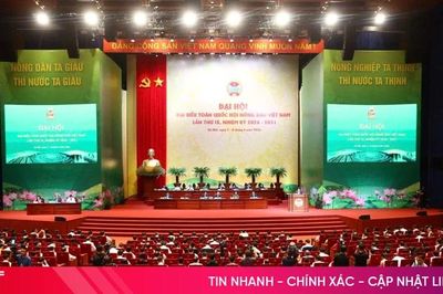 Sáng nay, khai mạc phiên trọng thể Đại hội đại biểu toàn quốc Hội Nông dân Việt Nam lần thứ IX