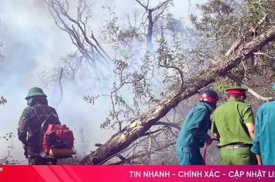 Nhanh chóng dập tắt cháy rừng ở Kỳ Anh