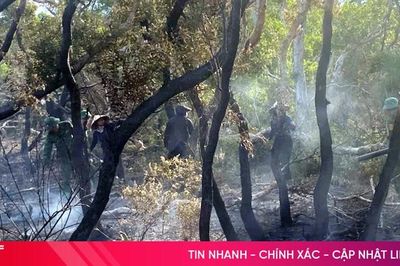Nhanh chóng dập tắt cháy rừng ở Kỳ Anh