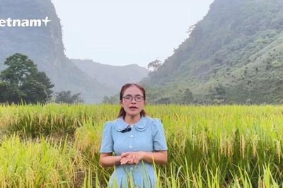 Kỳ thi tốt nghiệp THPT 2026: 8 'bí kíp' vàng chinh phục môn Địa lý của chuyên gia