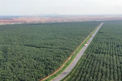 Đồng Nai: Cuối tháng 6 hoàn thành phê duyệt bồi thường 6 dự án trọng điểm