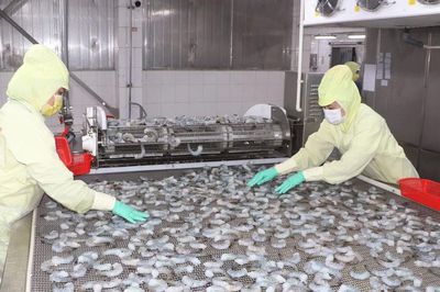 Kim ngạch xuất khẩu của Cà Mau trong 5 tháng đầu năm vượt 1 tỷ USD