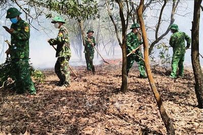 Điều tra nguyên nhân vụ cháy rừng ven biển Quảng Trị