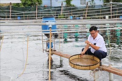 Công nghệ cao 'tiếp sức' ngành tôm
