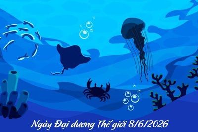 Những 'lá chắn xanh' của đại dương