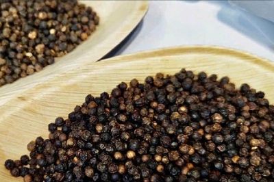 Giá nông sản hôm nay (8/6): Giá cà phê và hồ tiêu đồng loạt giảm