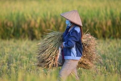 Cửa nào cho ngành gạo Việt 2026