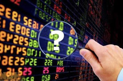 SGI Capital: Thị trường bắt đầu xuất hiện nhiều hơn các cơ hội đơn lẻ với định giá hấp dẫn