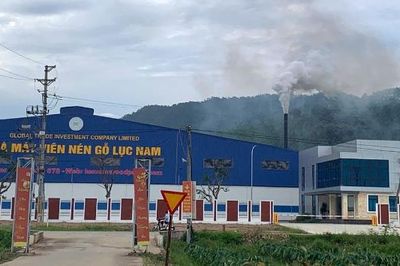 Bắc Ninh: Doanh nghiệp sản xuất viên nén tạm dừng hoạt động do gây ô nhiễm môi trường