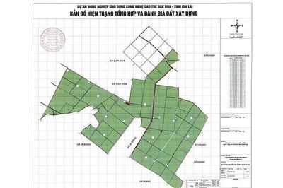Khuyến khích doanh nghiệp đầu tư vào lĩnh vực nông nghiệp, nông thôn