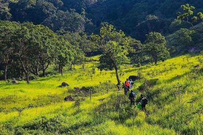 Chấn chỉnh hoạt động trekking, camping tự phát tại Vườn Quốc gia Núi Chúa - Phước Bình