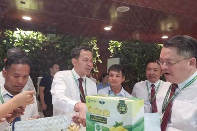 Nông dân Lâm Ðồng hướng tới nền nông nghiệp xanh, bền vững