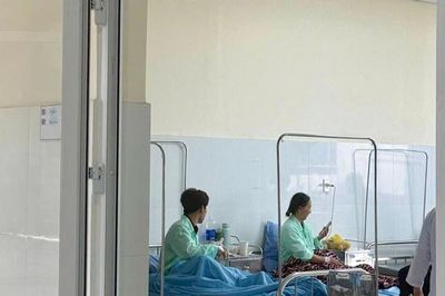 Lâm Đồng báo động nguy cơ ngộ độc nấm mùa mưa