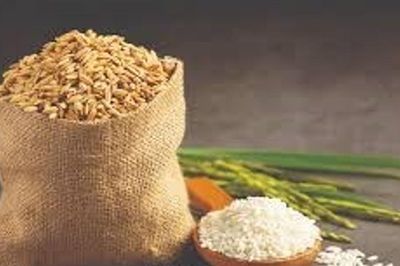Giá lúa gạo ngày 8/6: Thị trường ổn định, gạo xuất khẩu Việt Nam neo ở mức cao