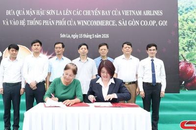 Nông nghiệp hữu cơ - hướng đi bền vững cho nông dân vùng biên
