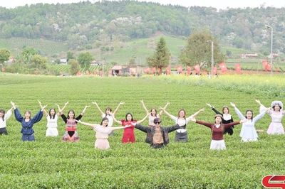 Phát triển du lịch sinh thái vùng chè