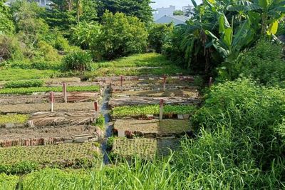 Giảm áp lực tài chính cho người dân