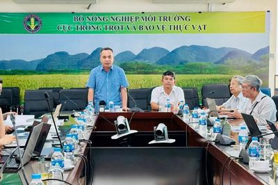 Lĩnh vực trồng trọt, bảo vệ thực vật bãi bỏ 11 thủ tục, đẩy mạnh phân cấp