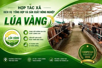 HTX Lúa Vàng – 'Ngôi sao Hợp tác xã' tỏa sáng từ vùng Kinh Bắc