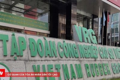 Vì sao Tập đoàn Cao su Việt Nam vẫn giữ tư cách đại chúng dù chưa đạt chuẩn?