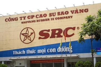 Lãi quý I tăng trưởng hơn 240%, Cao su Sao Vàng (SRC) sắp chốt quyền nhận 'combo' cổ tức tiền mặt và cổ phiếu thưởng