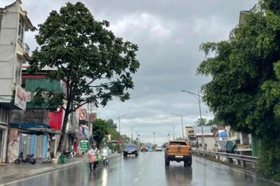 Tin gió mùa Đông Bắc