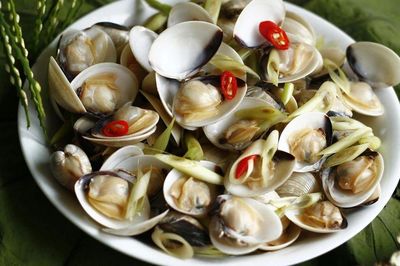 Ngao ngâm cả tiếng vẫn đầy cát? Hóa ra nhiều người bỏ qua mẹo đơn giản này