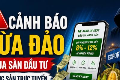 Tin lãi ảo từ 'sàn nông sản' online, người phụ nữ trình báo mất hơn 438 triệu đồng