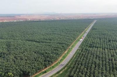 Đồng Nai: Phê duyệt phương án bồi thường 6 dự án trọng điểm trước 30/6