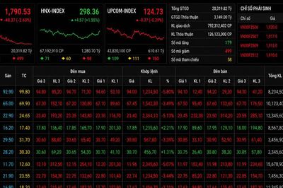 Chứng khoán đỏ lửa, VN-Index lùi sâu dưới mốc 1.800 điểm