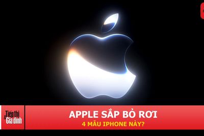 iOS 27 có thể dừng hỗ trợ 4 mẫu iPhone quen thuộc