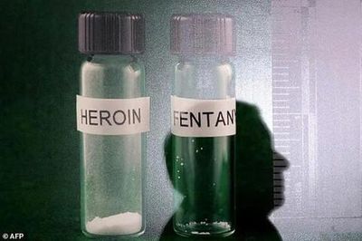 Fentanyl - sát thủ thầm lặng: Bài 3: Ngăn chặn trước khi 'bão' đổ bộ