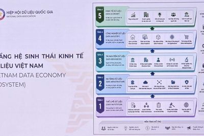 Kinh tế dữ liệu Việt Nam trong kỷ nguyên AI