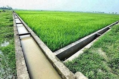 Xã Kiến Đức nâng cao hiệu quả hệ thống thủy lợi, chủ động thích ứng với biến đổi khí hậu