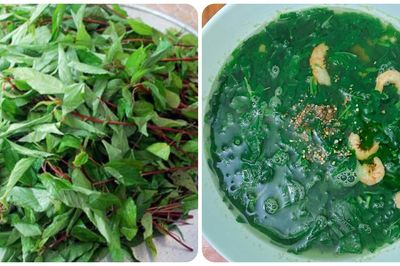 Ăn rau đay thường xuyên có tác dụng gì?