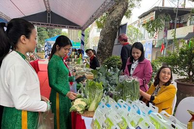 Kết nối thị trường, nâng giá trị nông sản an toàn