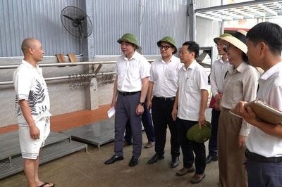 Xã Đại Xuyên đôn đốc triển khai Khu liên hợp giết mổ tập trung