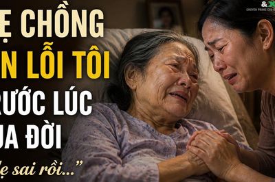 Mẹ chồng xin lỗi tôi trước lúc qua đời: Mẹ sai rồi!