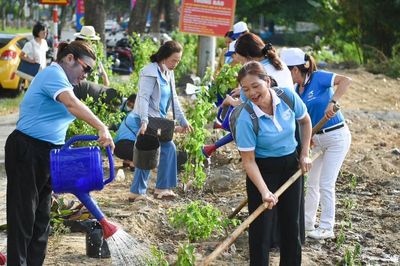 Cải tạo đất trống thành vườn xanh