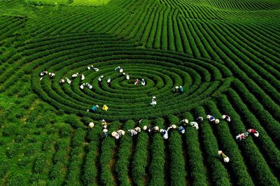 Tìm kiếm những quà tặng du lịch mang hồn cốt Tây Bắc