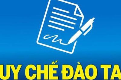 TOÀN VĂN: Dự thảo Thông tư Ban hành Quy chế đào tạo trình độ đại học