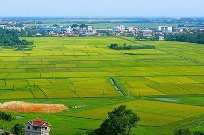 Kế hoạch triển khai cơ chế, chính sách đặc thù để xử lý vi phạm pháp luật về đất đai trước năm 2024