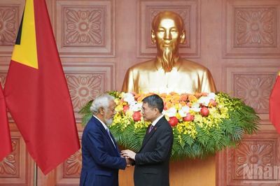 [Ảnh] Thủ tướng Lê Minh Hưng hội đàm với Thủ tướng Timor-Leste Kay Rala Xanana Gusmao