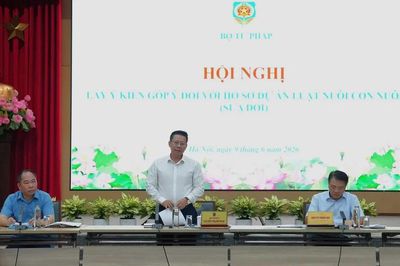 Đề xuất 'siết' quy định về độ tuổi được nhận con nuôi