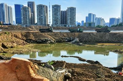 Hàng loạt cây xà cừ cổ thụ bị chặt hạ bên dự án hồ điều hòa Đồng Bông 2