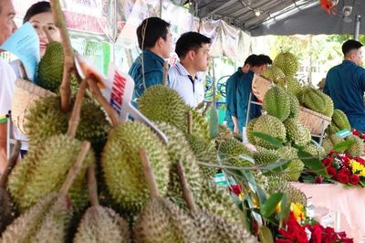 Chất lượng sầu riêng miền Tây không thua kém Thái Lan, vấn đề ở Cadimi