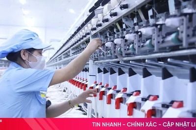 Những sản phẩm xuất khẩu nào của Hà Tĩnh chiếm ưu thế trong nửa đầu năm?