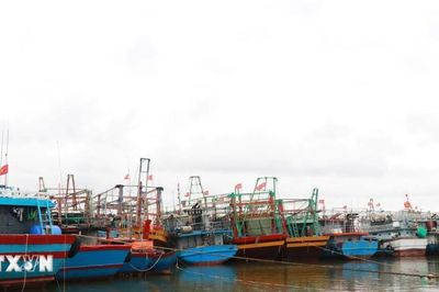 Từ Quảng Ninh đến Lâm Đồng chủ động ứng phó với vùng áp thấp trên biển