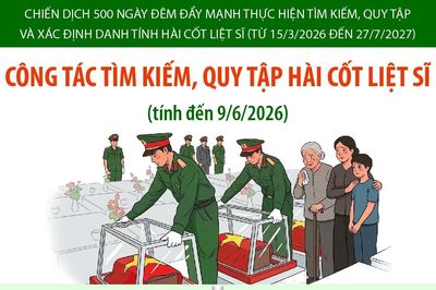 Đẩy nhanh công tác tìm kiếm, quy tập hài cốt liệt sĩ
