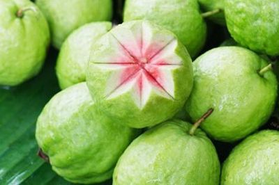Lợi ích của quả ổi với sức khỏe
